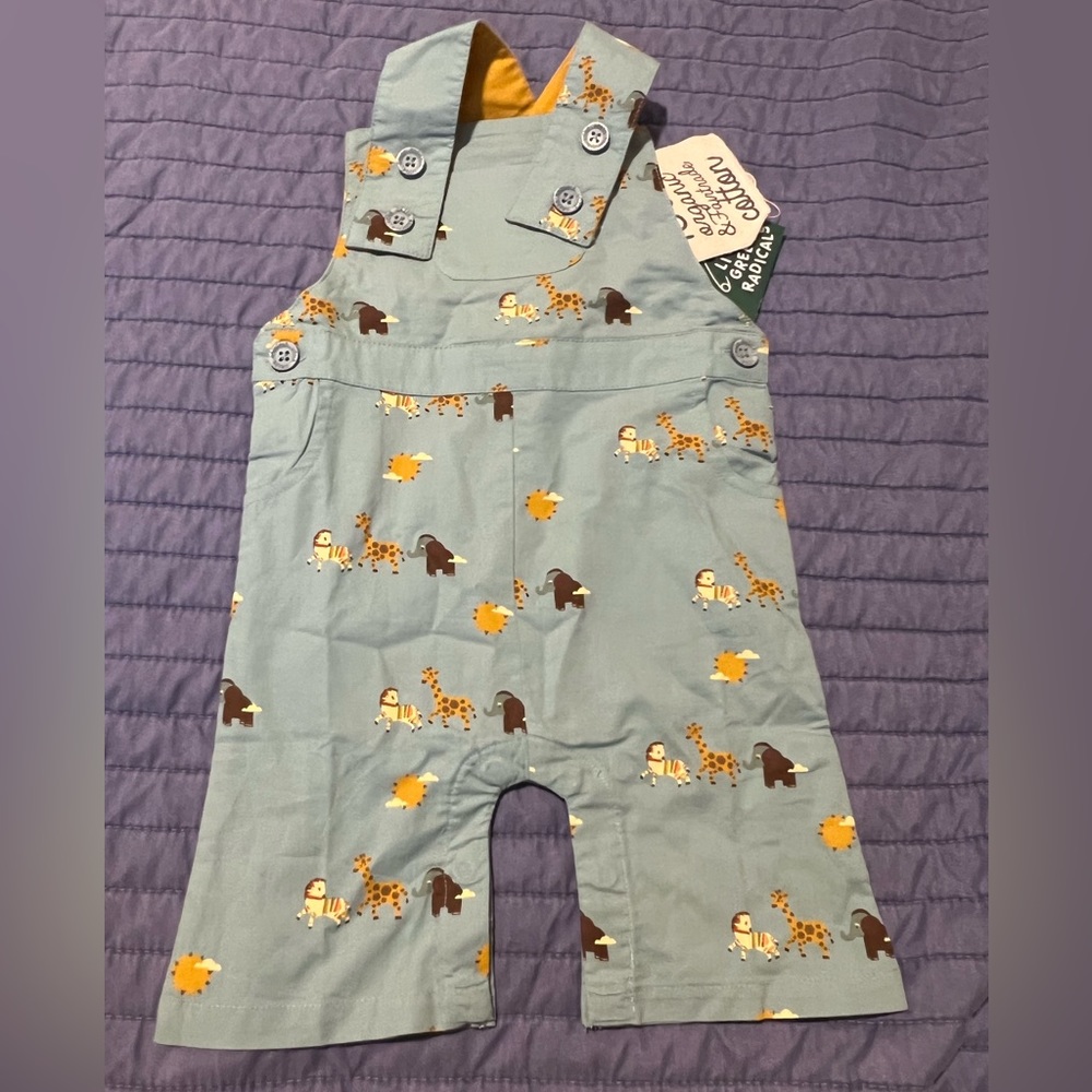 Little Green Radicals overalls, 9-12months